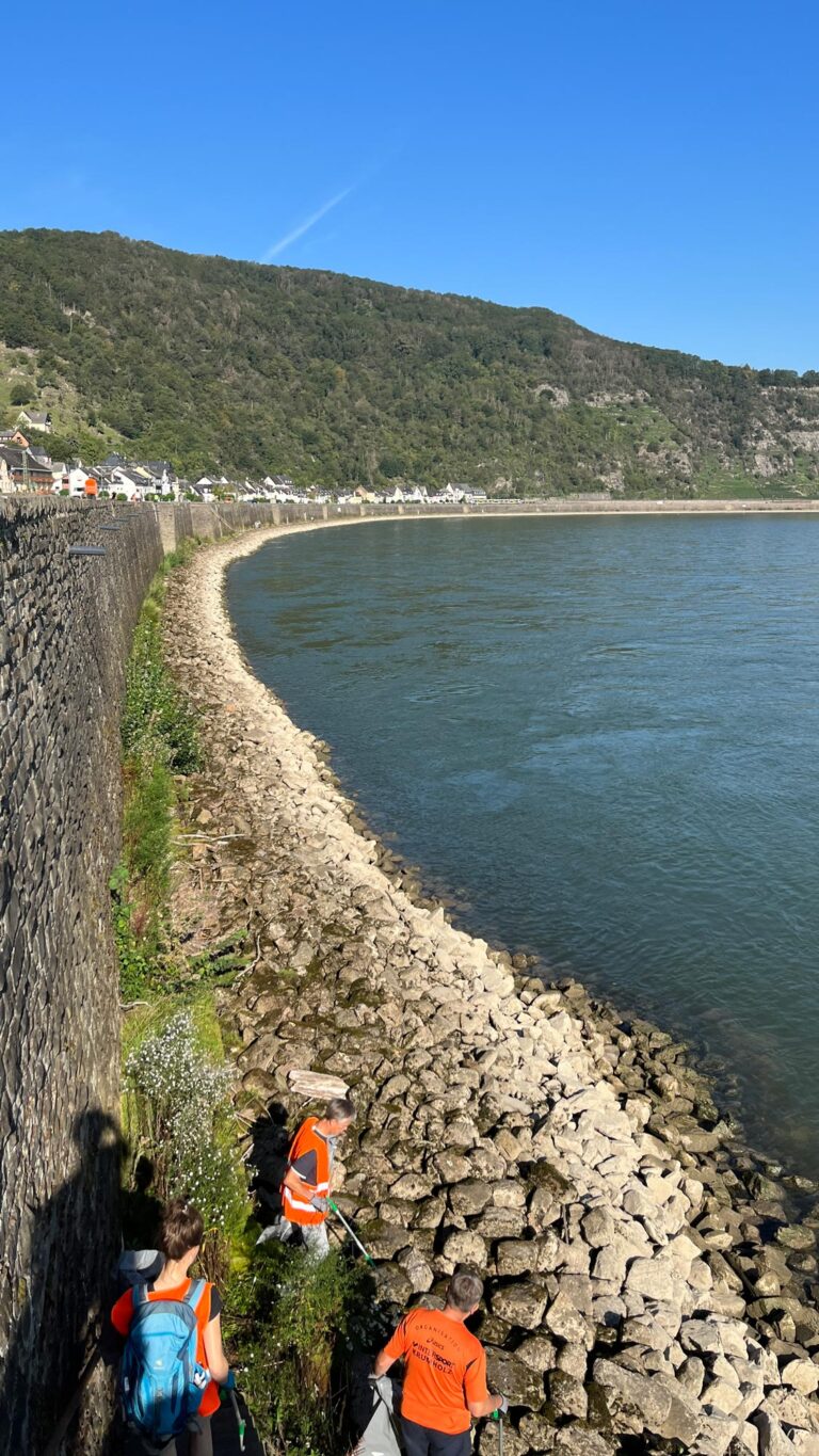 Engagement-RhineCleanUp-1