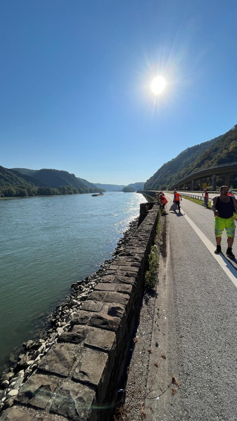 Engagement-RhineCleanUp-2