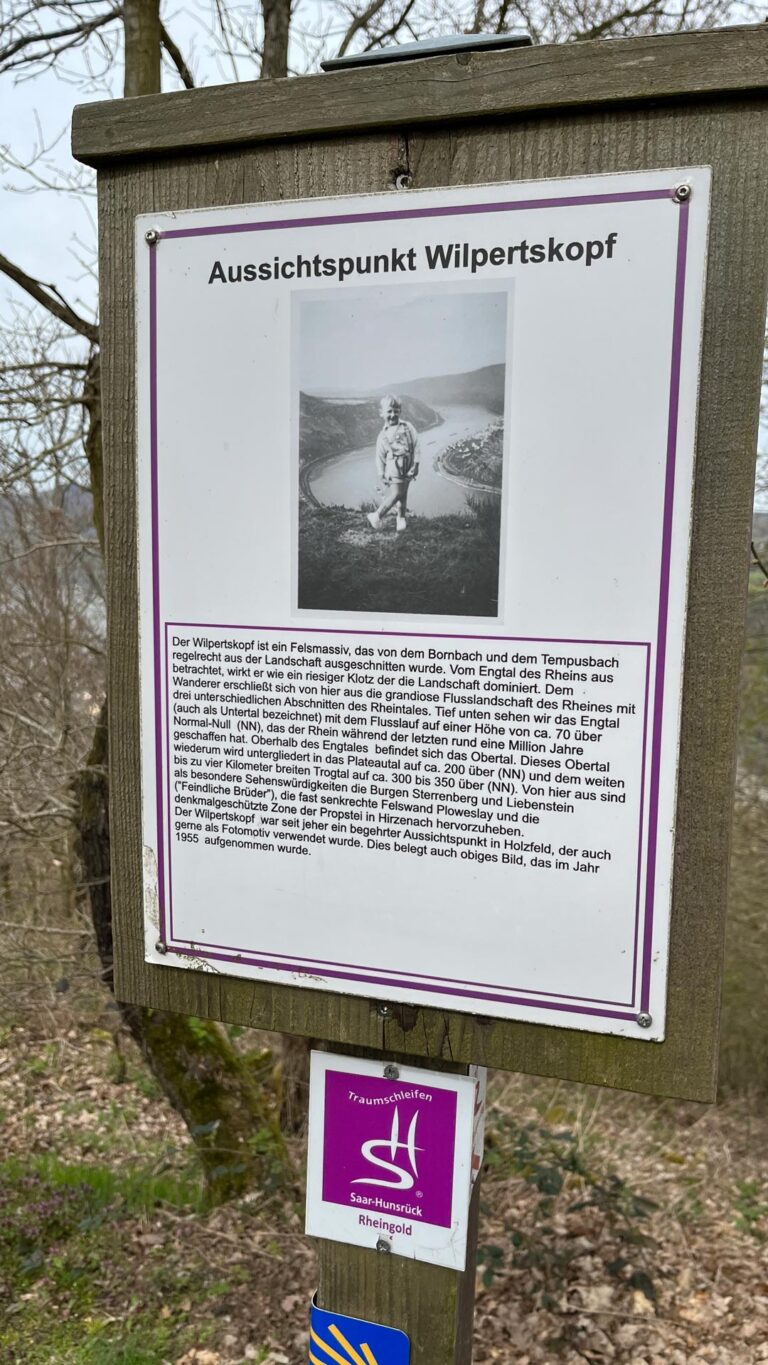 Slider-Wandereinrichtung-1