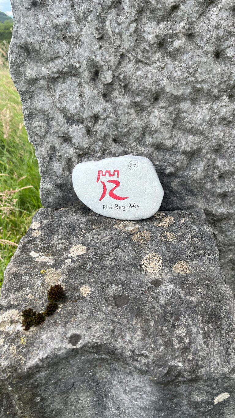 Slider-Wandereinrichtung-6